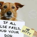 Funny Memes - Animal Memes - good advice