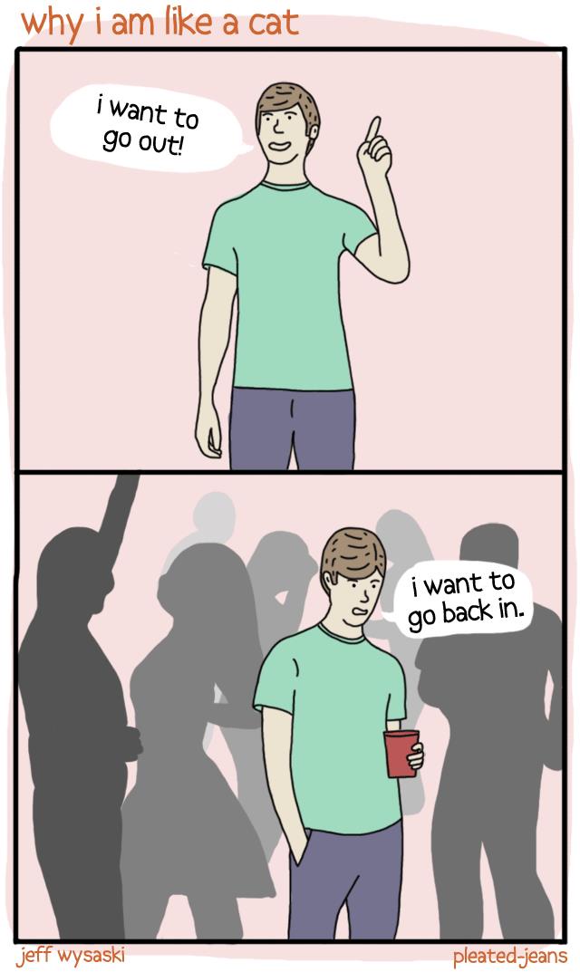 Funny Memes - I am like a cat