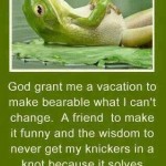 Funny Memes - My 3 Wishes