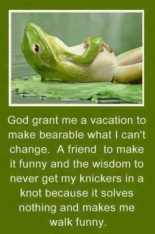 Funny Memes - My 3 Wishes