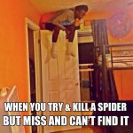 Funny Memes - Spider lol
