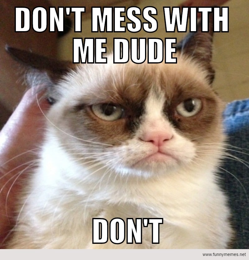 Cat Memes: Don't mess with me dude don't