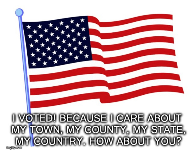 Voting! Voting!